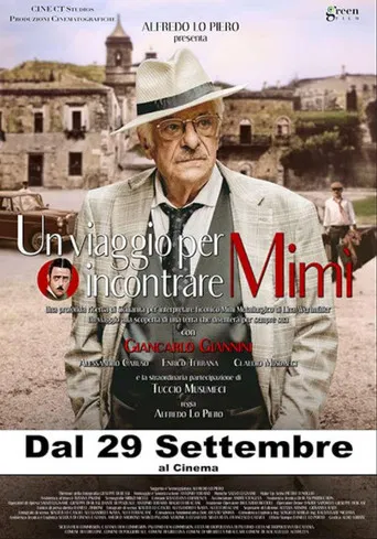 Un viaggio per incontrare Mimì poster