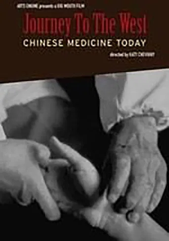 Journey to the West: Chinese Medicine Today poster