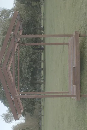 The Miracle on George Green poster