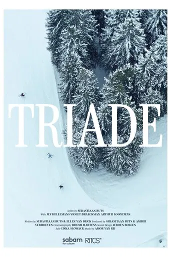 Triade poster