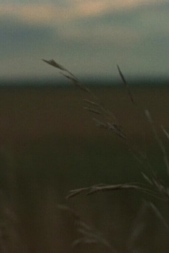 Around Sanford poster