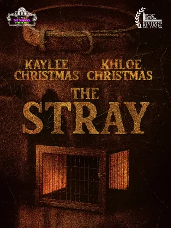 The Stray poster