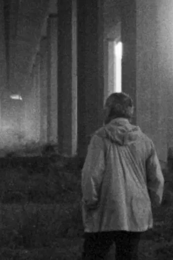 History of Shrouded Screen poster