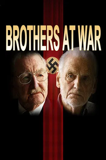 Brothers at War poster