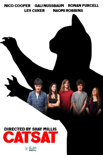 Catsat poster