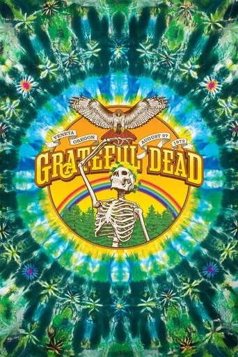 Grateful Dead: Sunshine Daydream poster