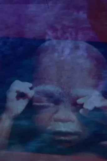 Le Palme e Tangeri poster