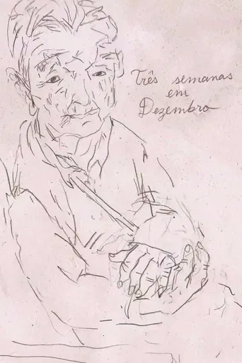 Três Semanas em Dezembro poster