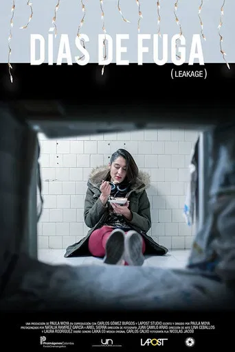 Días de Fuga poster