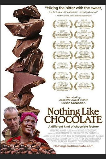 Nothing Like Chocolate poster