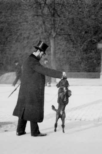 Chien Caniche Noir Sautant poster