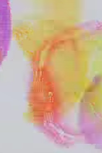 Rainbow Party poster