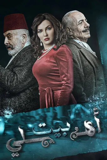 My Family's House poster