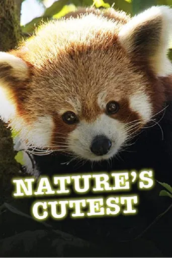 Nature's Cutest poster