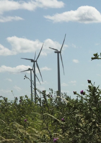 Windpark: Ein Lichtspiel bei Nacht poster
