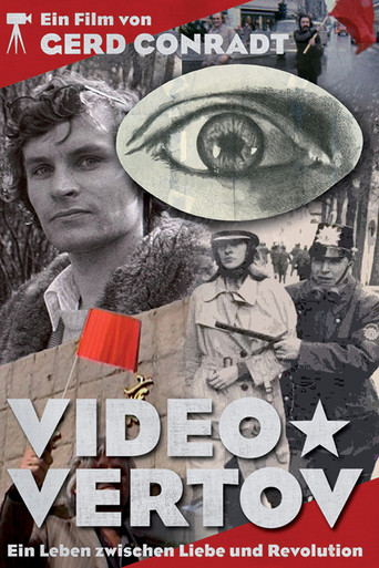 Video Vertov poster