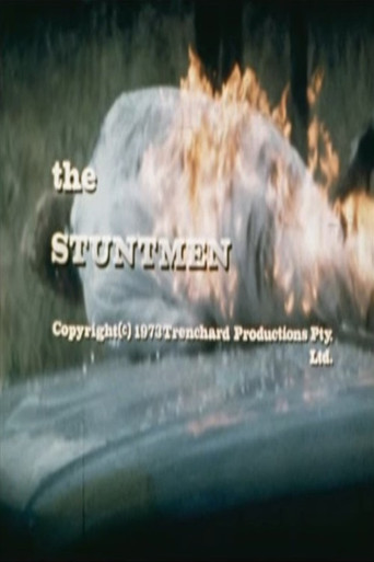 The Stuntmen poster