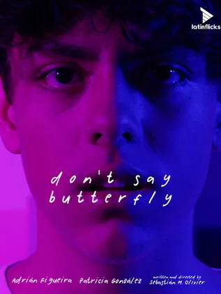 Don't Say Butterfly poster