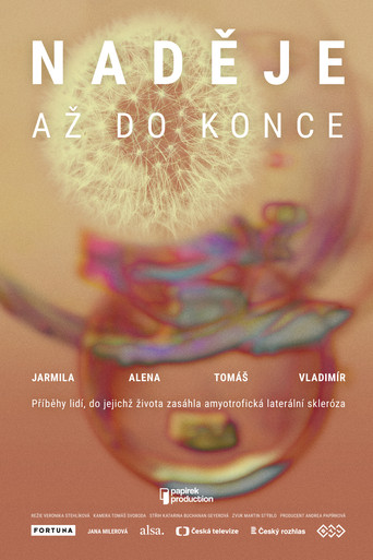 Hope until the End poster