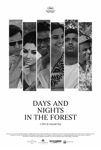 Days and Nights in the Forest poster