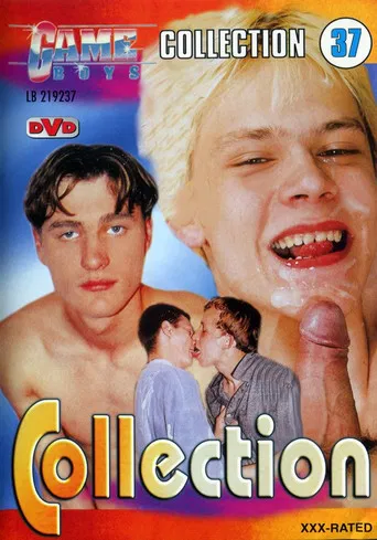 Game Boys Collection 37 poster