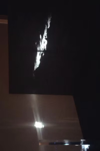 Metallic Shadow in the Dream - Window poster