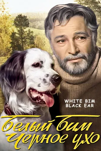 White Bim Black Ear poster