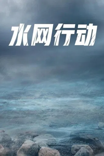 水网行动 poster