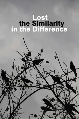 Lost the Similarity in the Difference poster