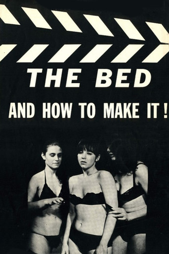 The Bed and How to Make It! poster