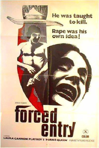 Forced Entry poster