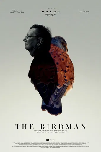 The Birdman poster