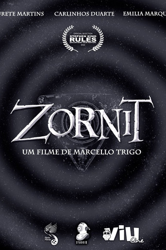 Zornit poster