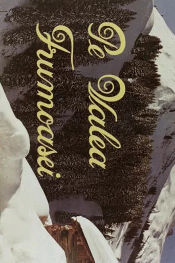 Along the Frumoasa Valley poster