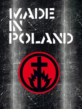 Made in Poland poster