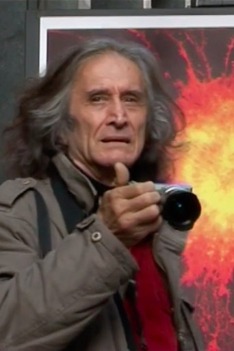 Into the Wild poster