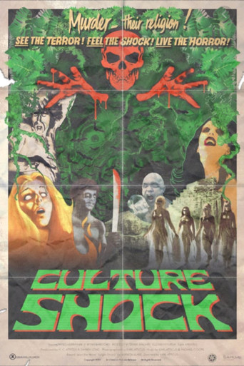Culture Shock poster