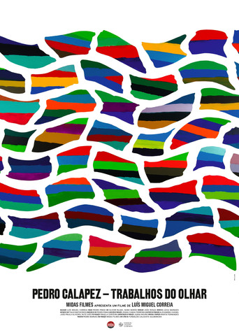 Pedro Calapez: Trabalhos do Olhar poster
