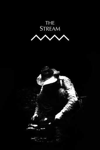 The Stream poster