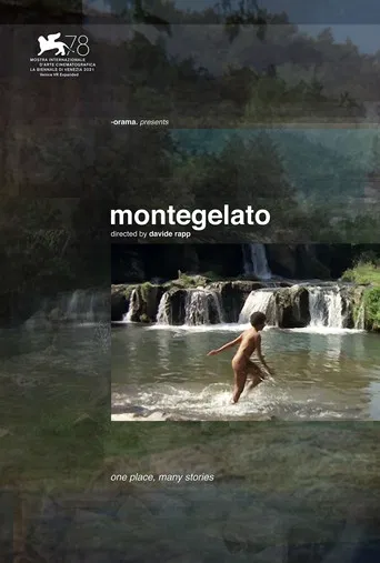 Montegelato poster