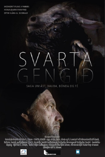 Black Sheep - The Last Symphony for a Sheep poster