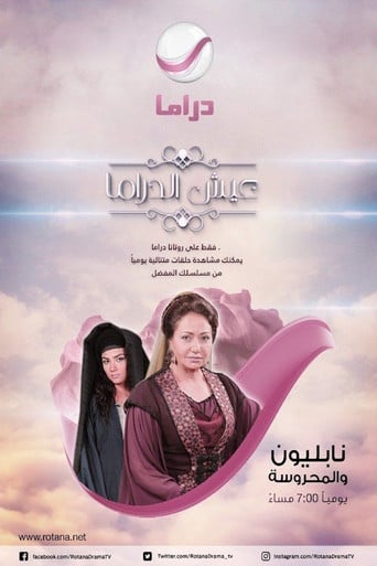 نابليون والمحروسة poster