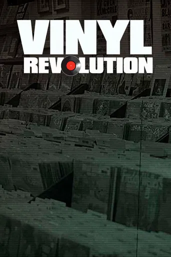 Vinyl Revolution poster