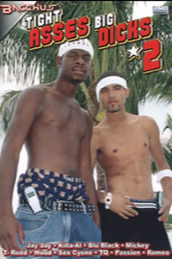 Tight Asses Big Dicks 2 poster