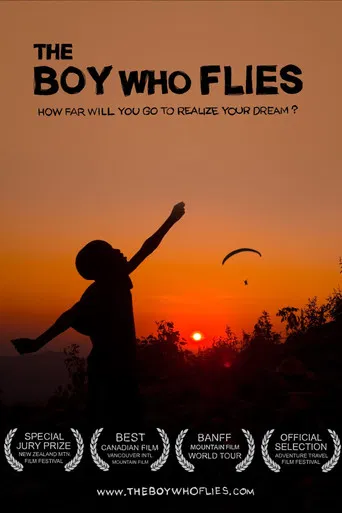 The Boy Who Flies poster