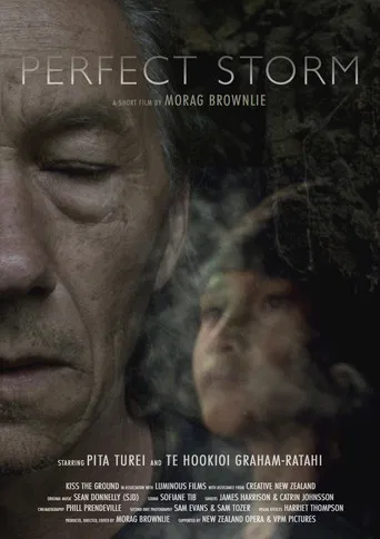 Perfect Storm poster