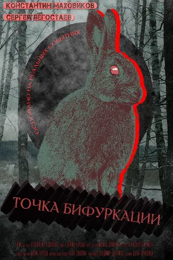 Point Of Bifurcation poster