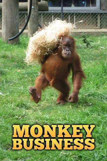 Monkey Business poster