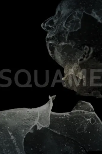 Squame poster