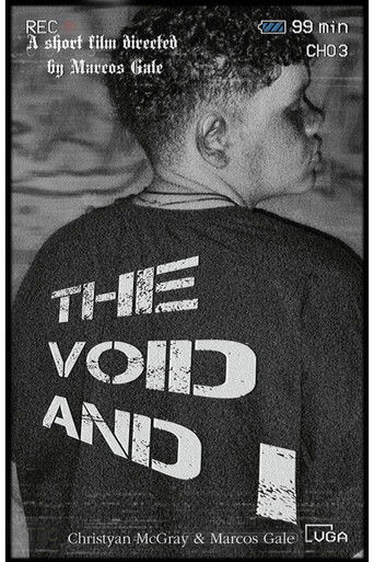 The Void And I poster